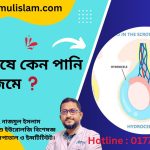 হাইড্রোসিল (Hydrocele)